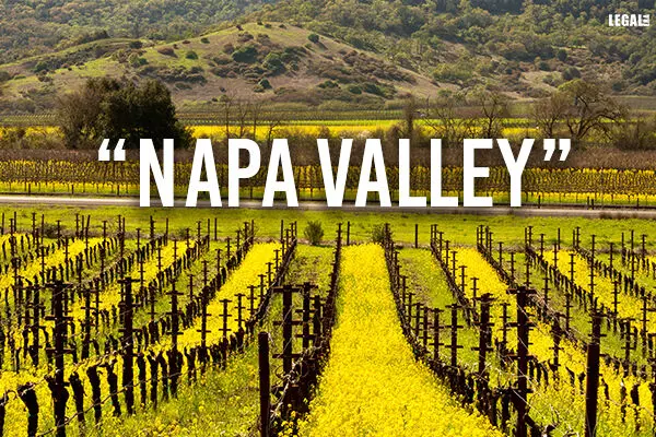 United States Napa Valley bags Geographical Indication (GI) Tag
