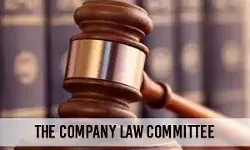 Company-Law