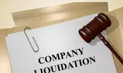 Company-Liquidator