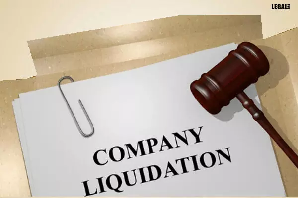 NCLT allows liquidators petition to sell company as going concern without dissolution