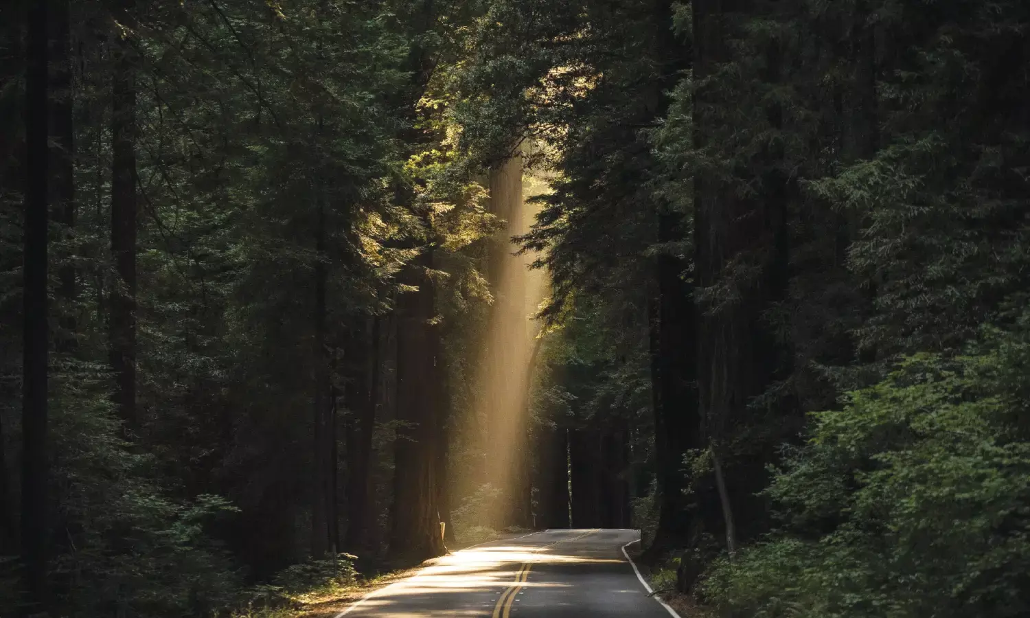 Paving The Way Towards Strengthening International Arbitration in India