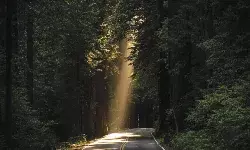 Paving The Way Towards Strengthening International Arbitration in India