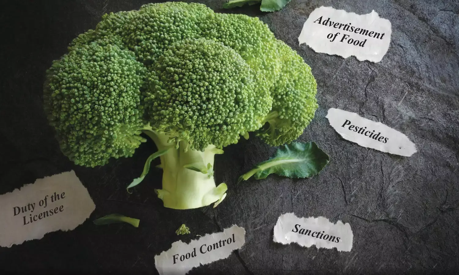 General Food Safety Regulations in Thailand