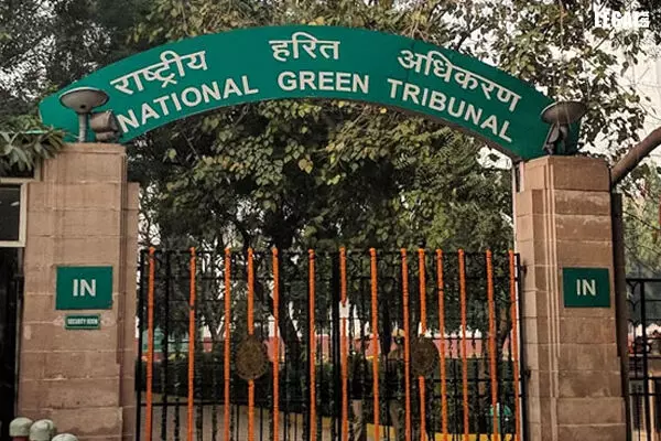 NGT orders Rajendrasinh Bhamboo Infra to compensate for environmental damage