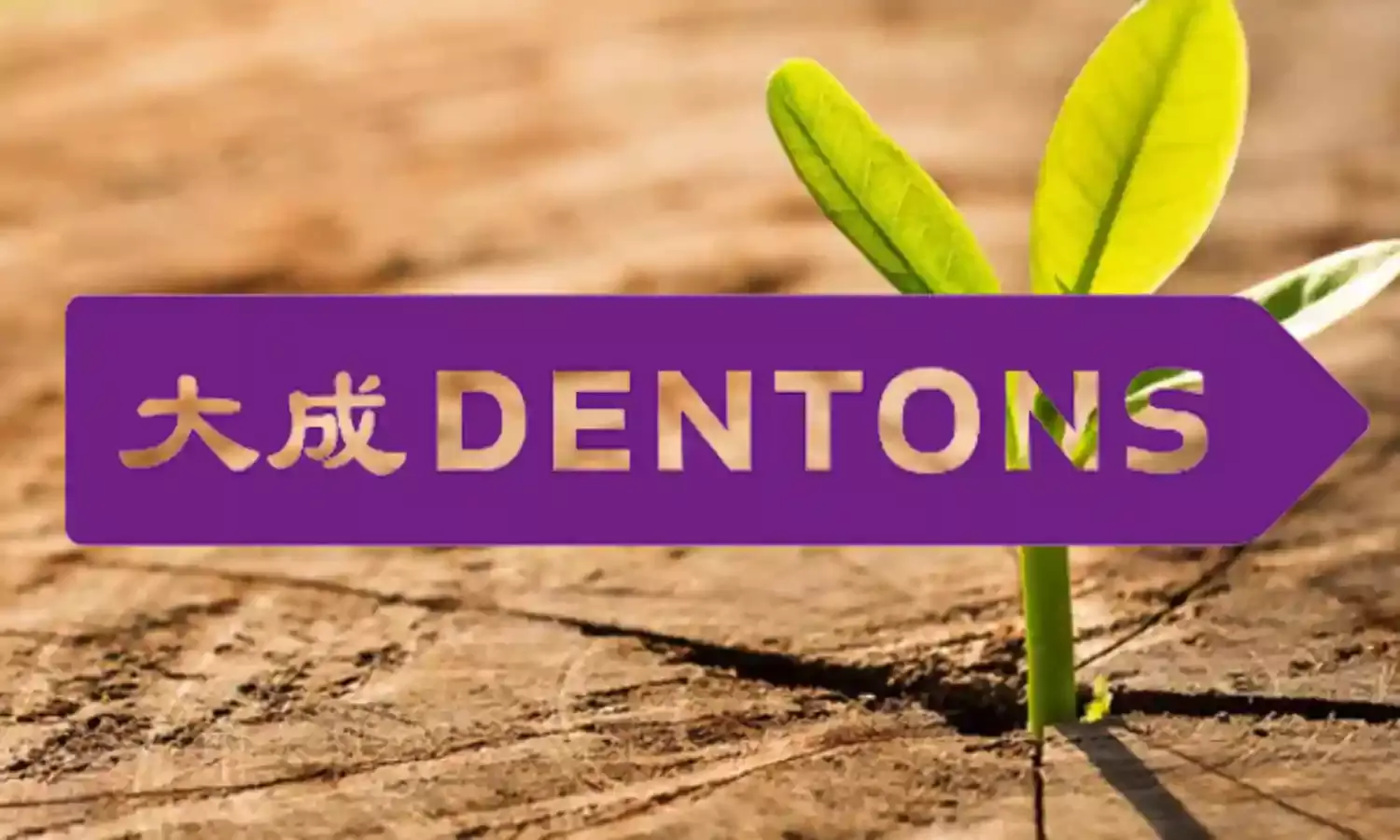 Dentons