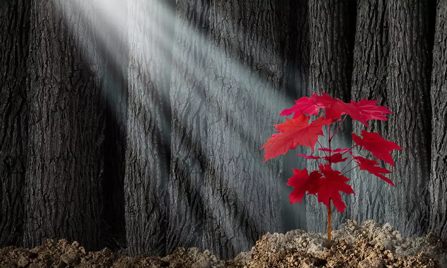 Proxy Advisory Firms: Emerging catalysts for strengthening the pillars of Governance & Corporate Stewardship