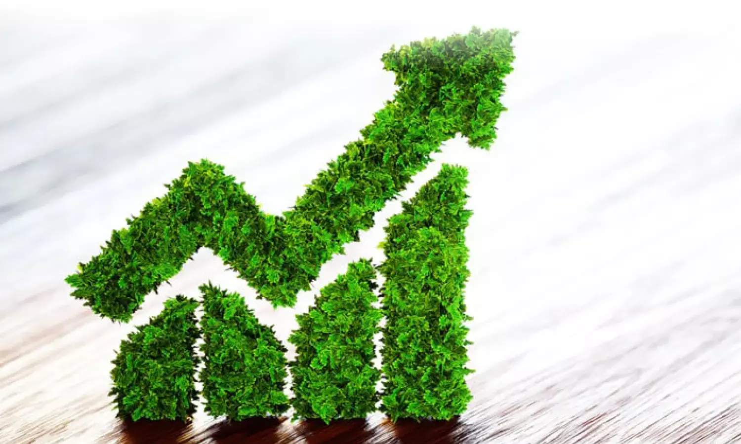 India raises $2bn in first Sovereign Green Bond issuances