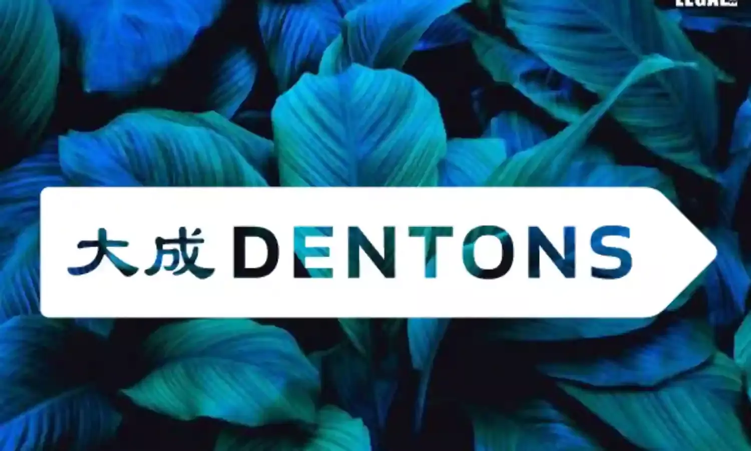 Dentons Advised Volta in $4 Million Capital Increase for Solar Projects in Sri Lanka