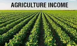 Agriculture-Income