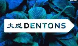 Dentons Advised Volta in $4 Million Capital Increase for Solar Projects in Sri Lanka