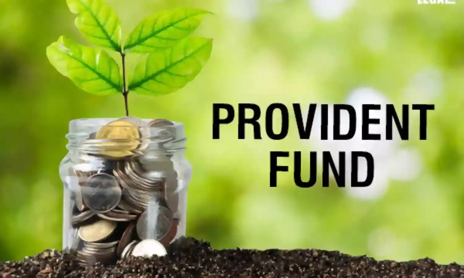 Provident-Fund