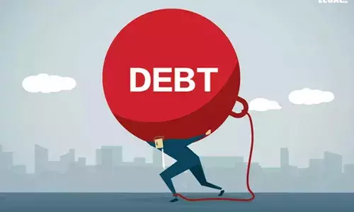Debt