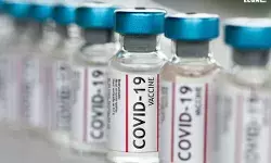 COVID-19-Vaccine COVID-19-Vaccine