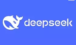 DeepSeek