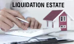 Liquidation-Eatate