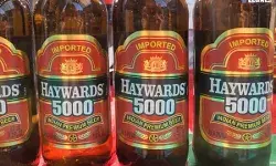 Haywards-5000