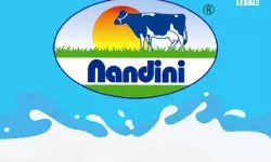 Nandini Nandini