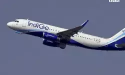 Indigo