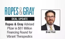 Brad-Flint Brad-Flint