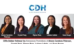 cliffe-dekker-hofmeyr-inc-promotions-2026 cliffe-dekker-hofmeyr-inc-promotions-2026