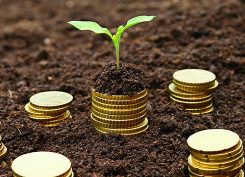 Rs 1.75 Cr raised by Param.ai in seed funding