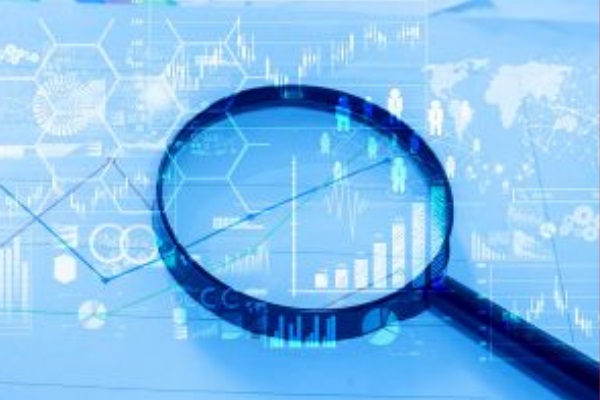 Government To Issue Form Which Will Require Auditors To File All Details Including Adverse Comments, Observations