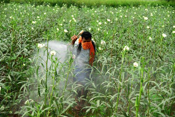 Karnataka new law to allow farmers to sell crop for best price